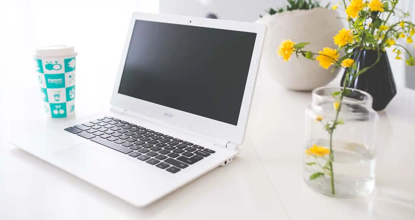 Ремонт ноутбуков Acer в Березовском